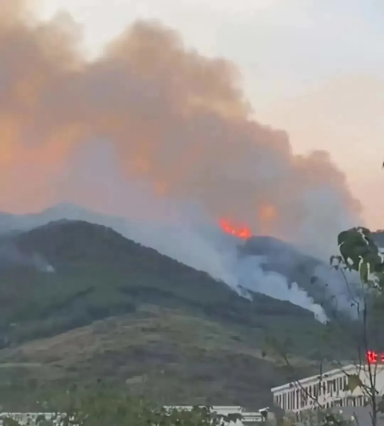 Mountain fires are merciless, but people are compassionate!