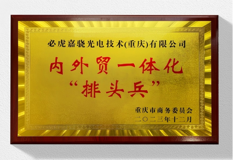 Chongqing's domestic and foreign trade integration